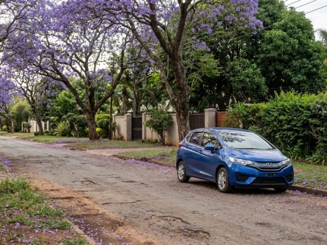 Blue Honda Fit parked on a gravel verge in a leafy Harare street
