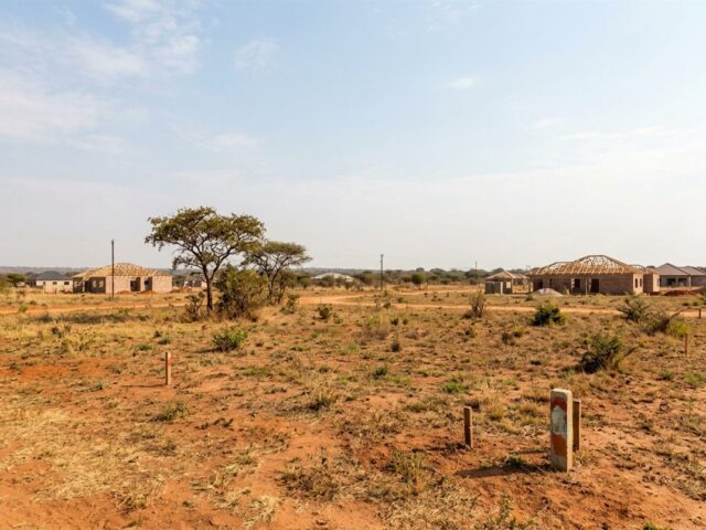 Open residential stand with dry grass and a few houses in the distance